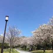 ゆぅ⑅︎◡̈︎*の画像