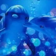 モフコの画像