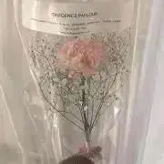 amiの画像