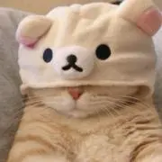 ゆいりんの画像