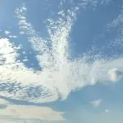 みずいろの画像
