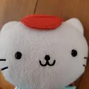 にゃんにゃんにゃんこ にゃんこマーケット カゴ入りにゃんこカレー