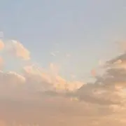 ジナの画像
