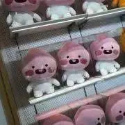 ★水曜日★ まとめて購入でお値下げしますの画像