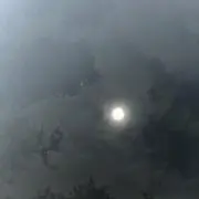 せかちの画像