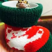 むーさんの画像