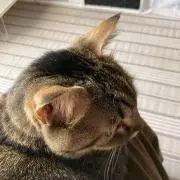 mo◎プロフ必読の画像