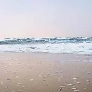 Rの画像