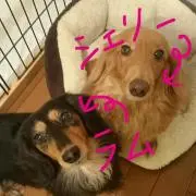 S&Lの画像