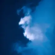 マユ