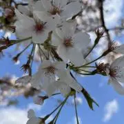 mの画像