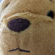 くまの画像