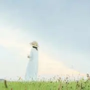 マトの画像