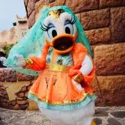 ❥❥❥﻿