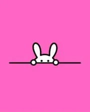 うさちょこの画像