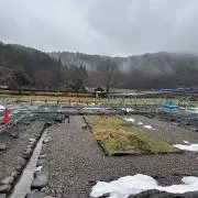 はるはる