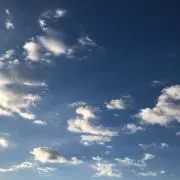おておすわりの画像