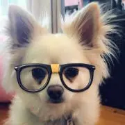 古酒超レア1996年クロヴージョ プリューレロック - メルカリ