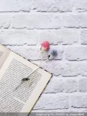komamの画像