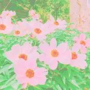 ღぱღプロフィール確認願⚠︎