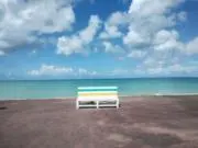 teteの画像
