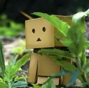 すずなり