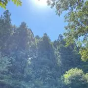 Image of ソラ✨
