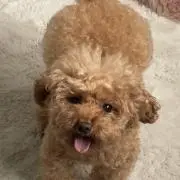 oki♡maの画像