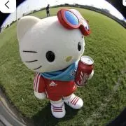 ナエの画像