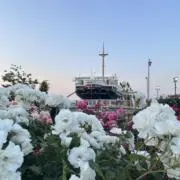 Afterthesnowの画像
