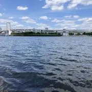 ゆまの画像