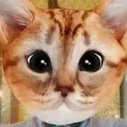 ちょもらんまの画像