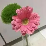 にーたるの画像