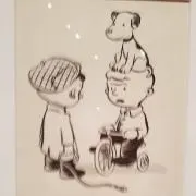 プーアルの画像