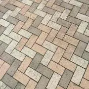 のこ