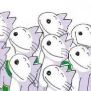 ミドの画像