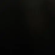 大谷粋也