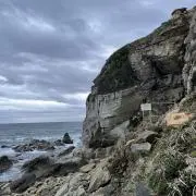 佐々木信彦