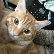 なぎさ