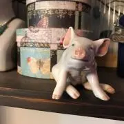 チャタ