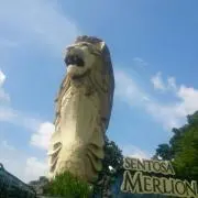 ぴろりきん