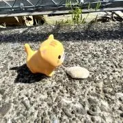 aimyuuu（プロフご確認下さい）の画像