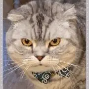 ひでちゃんの画像