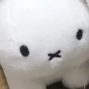 もち ＊ プロフご一読くださいの画像