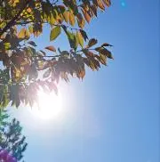 ☆★の画像