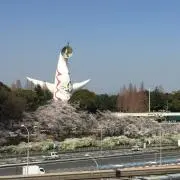 Kosukeの画像