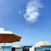 田中
