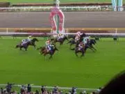 横浜競馬ファンの画像