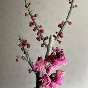 エミリン