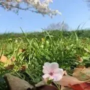 引越し前【在庫処分】Baby ママ